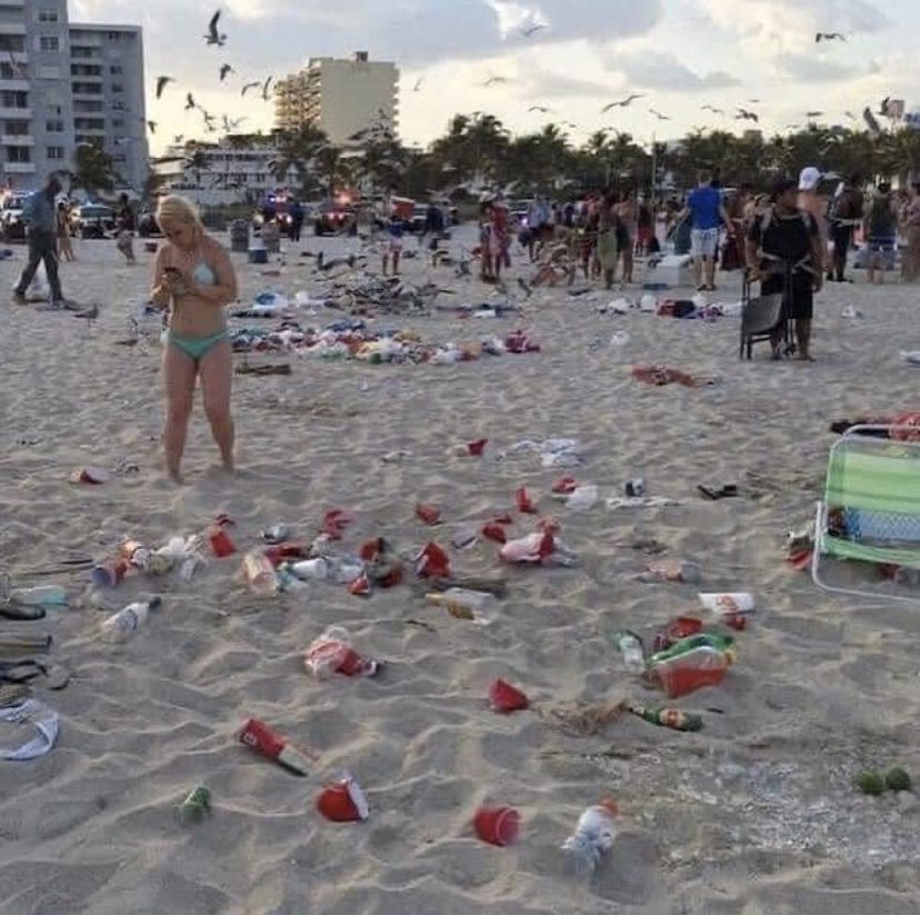 nataliaisdumb's tweet photo. i hate everyone who came to miami just to fuck up our beaches and potentially give us more cases https://t.co/uQY1kcIgb9