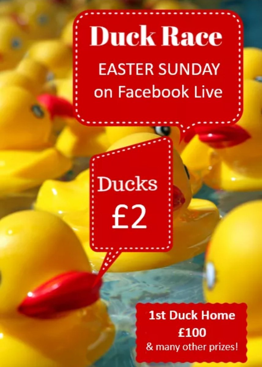 🦆 𝗘𝗔𝗦𝗧𝗘𝗥 𝗦𝗨𝗡𝗗𝗔𝗬 𝗩𝗜𝗥𝗧𝗨𝗔𝗟 𝗗𝗨𝗖𝗞 𝗥𝗔𝗖𝗘 🦆
Our 2021 Ducks are on sale, £2 each!
1st Duck wins £100, plus various other prizes!
You can also buy online by clicking link below 👇
klubfunder.com/Clubs/Ederney_…
Race will be live online! 
Many thanks for your support!