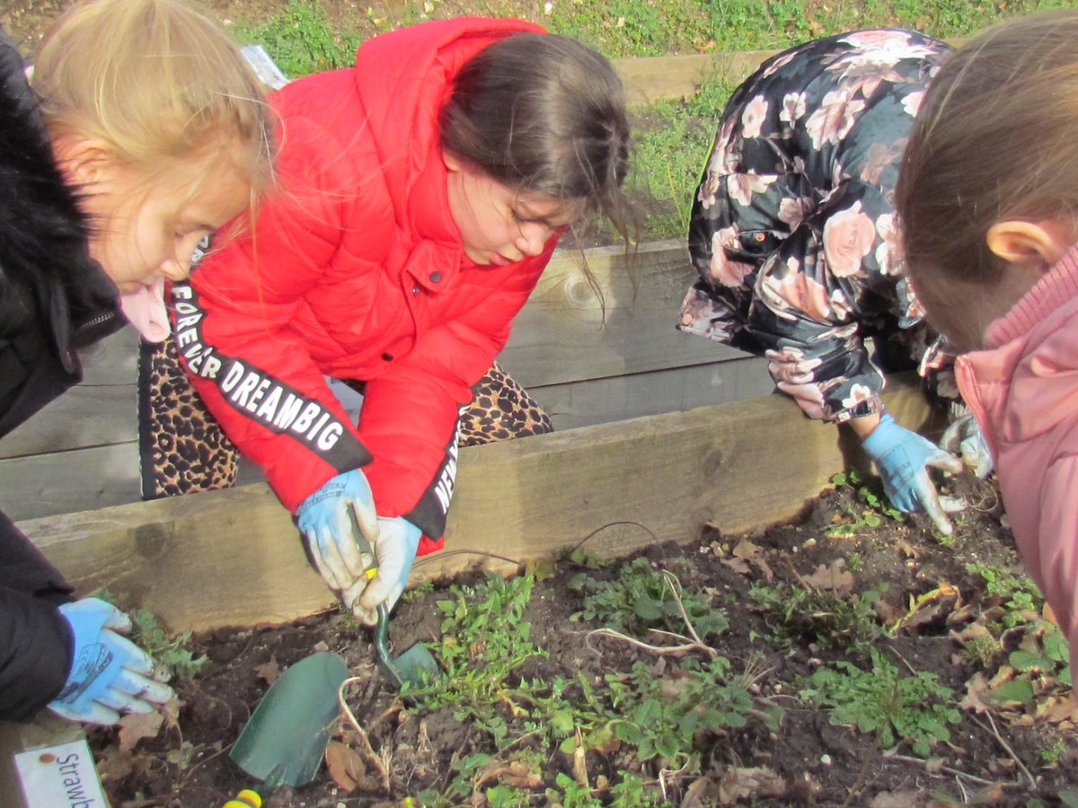 CountryTrust's tweet photo. Our Food Discovery programme is busy supporting pupils &amp; teachers prepare their 'patches' for the growing season. 

Children at @BeechviewHWyc have been weeding, preparing the soil &amp; sowing seeds in their school's polytunnel - how fantastic!!

Kindly supported by @ThompsonMorgan https://t.co/aiRXat0XeD