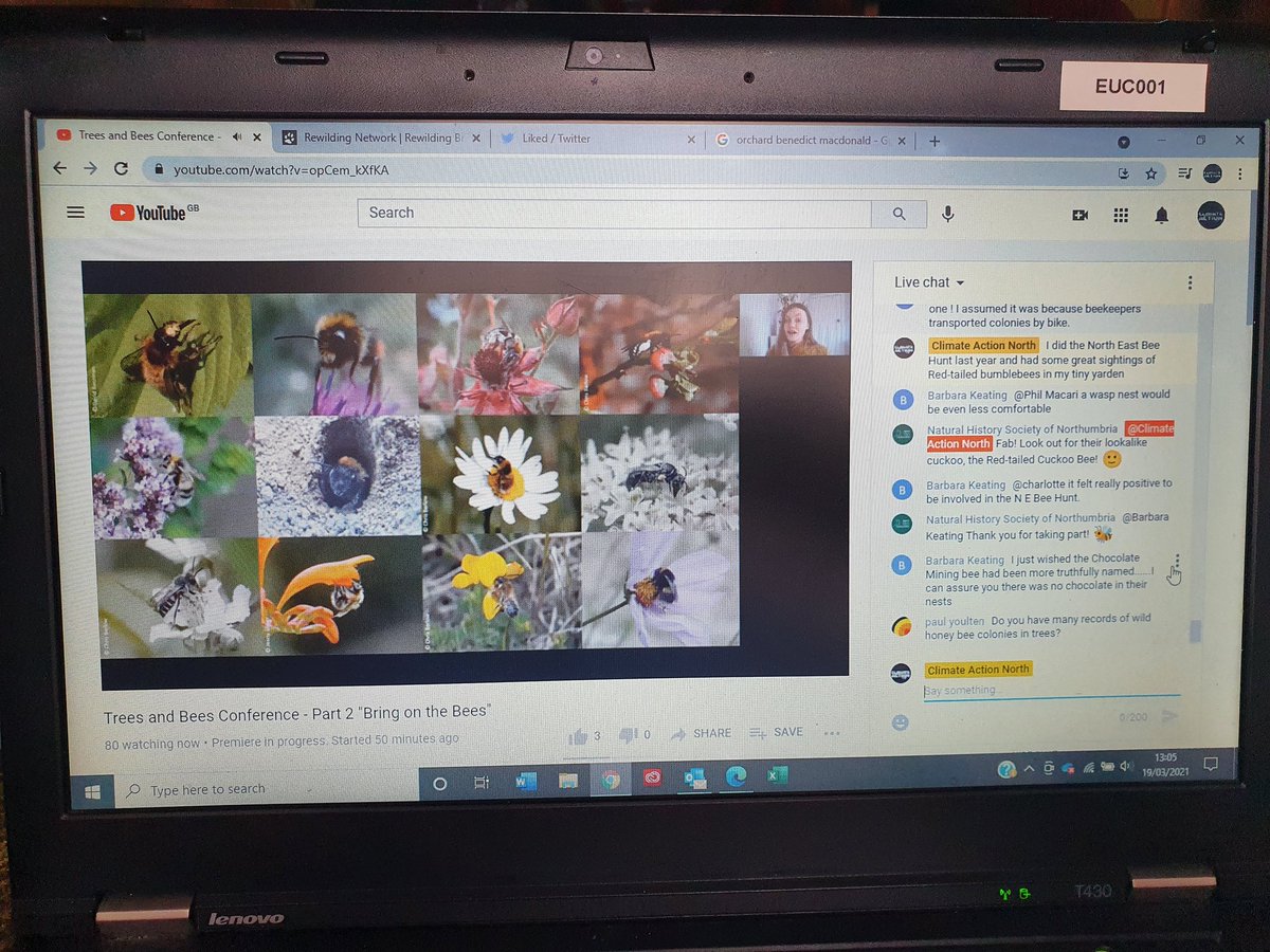 SharonEnv1's tweet photo. Thanks Charlotte @NEE_Naturalist for a fantastic showcase video of #bees at our #TreesAndBees conference and the launch of the #NorthEastBeeHunt today! π³ππΎπ± #beemoretree #biodiversity #fornature #beewilding https://t.co/NAiiLg7Dh9