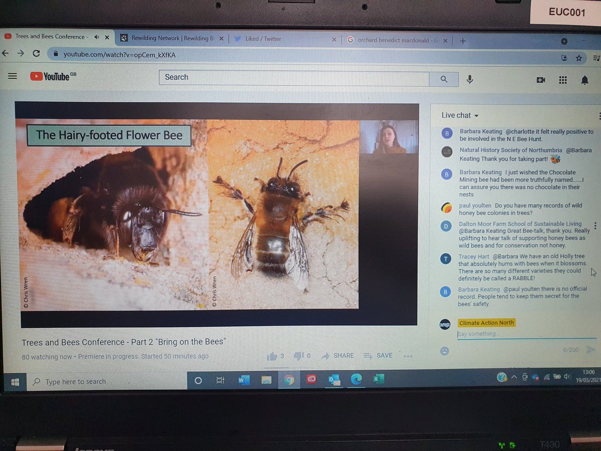 SharonEnv1's tweet photo. Thanks Charlotte @NEE_Naturalist for a fantastic showcase video of #bees at our #TreesAndBees conference and the launch of the #NorthEastBeeHunt today! π³ππΎπ± #beemoretree #biodiversity #fornature #beewilding https://t.co/NAiiLg7Dh9