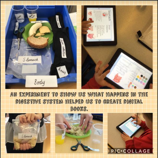 EastwayPrimary's tweet photo. Y4/5 Have been exploring the human body and learning how the digestive system works! We loved learning how our food moves through the body! #BSW21 #Science https://t.co/FLqpniR2ES