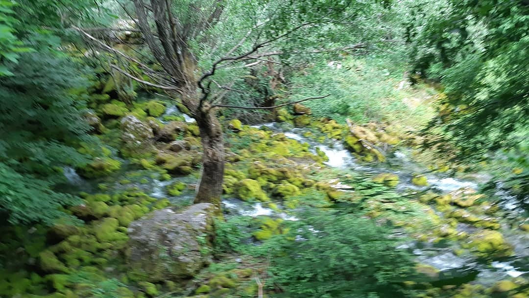 FIakecam's tweet photo. Forgotten dream, I draw it again in my heart
Collect all of the times I withdrew and swallow it
Small memories wake me up one by one
It opens me up, as if it'll fill the whole world
#nature https://t.co/88y5Ecnhn5