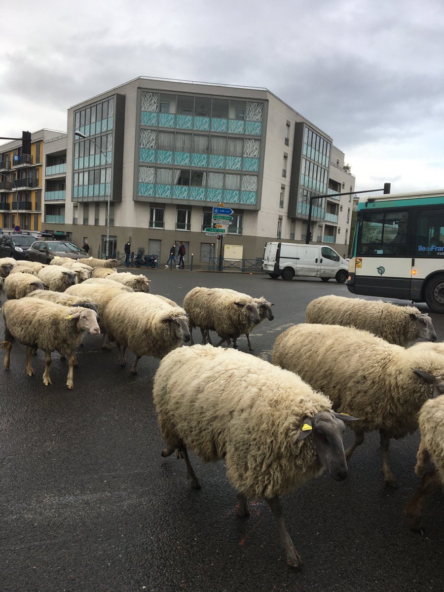 Christophe Prochasson tweet media