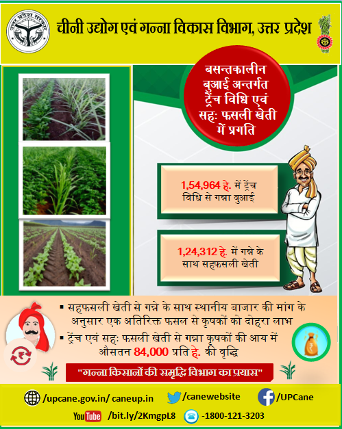 UPCane's tweet photo. ''बसन्तकालीन बुवाई अन्तर्गत ट्रेंच विधि एवं
 सहः फसली खेती में प्रगति''
#canewebsite
https://t.co/n378lK12d0
https://t.co/XxBQzs8Rrz
 E-ganna app 
@UPGovt
@CMOfficeUP
@InfoDeptUP
@SureshRanaBJP
@sureshpasibjp https://t.co/0b7PpLafh3