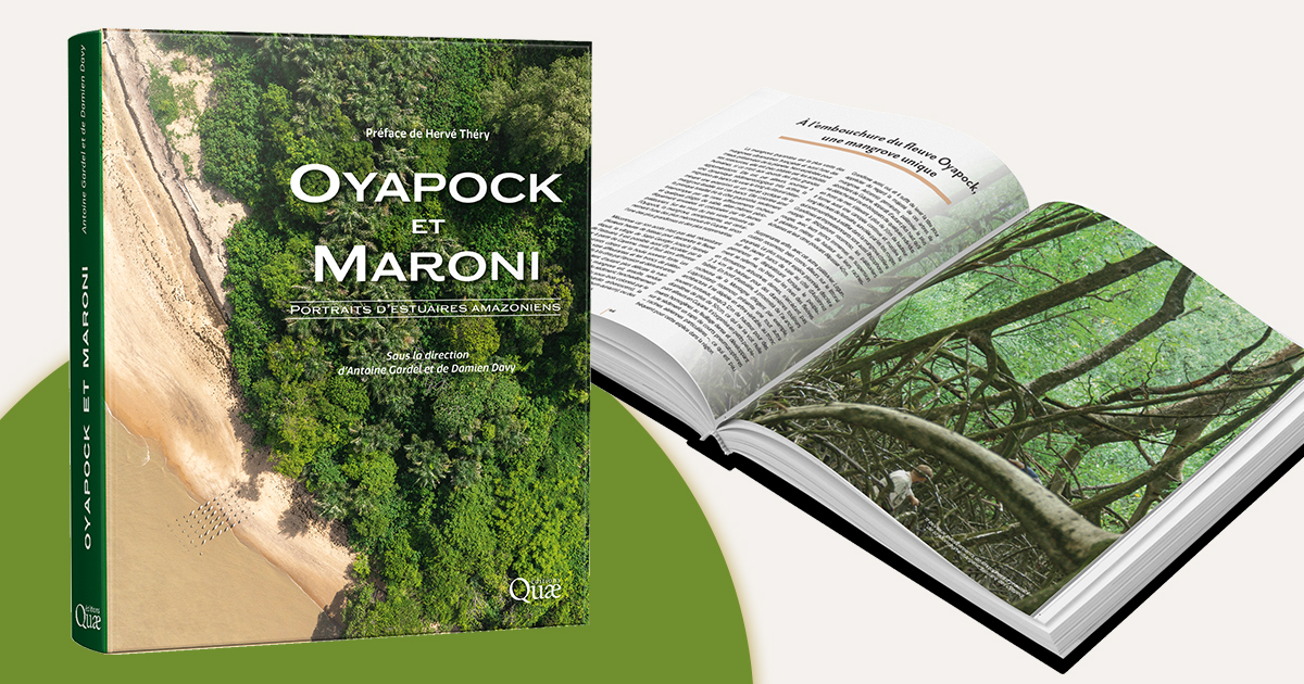 editionsquae's tweet photo. #Parution 📖 | Découvrir les richesses de la #Guyane tout en se sensibilisant aux grands défis environnementaux, humains et économiques auquel la région doit faire face. 

En partenariat avec @usr_leeisa et le soutien du FEDER FSE Guyane. > https://t.co/t8ylipoE8e https://t.co/TOH5lcLLCk