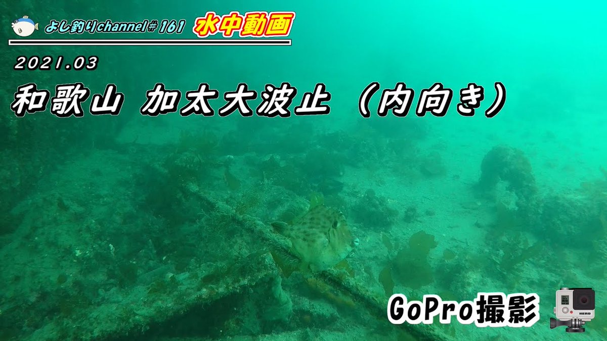 よし釣りchannel 和歌山の加太大波止で水中撮影をした動画です よかったらご覧ください 水中 Fishing Sea Underwater 水中カメラ Gopro 関西釣り 海中 낚시 釣魚 加太 和歌山 ゴープロ T Co Vxbnccsqud T Co S9dsfpo79g よし釣りchannel 和歌山の加太大波止で水中撮影をした動画です よかったらご覧ください 水中 Fishing Sea Underwater 水中カメラ Gopro 関西釣り 海中 낚시 釣魚 加太 和歌山 ゴープロ T Co Vxbnccsqud T Co S9dsfpo79g