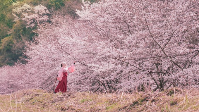 コスプレイヤー空条あまにのTwitter画像64