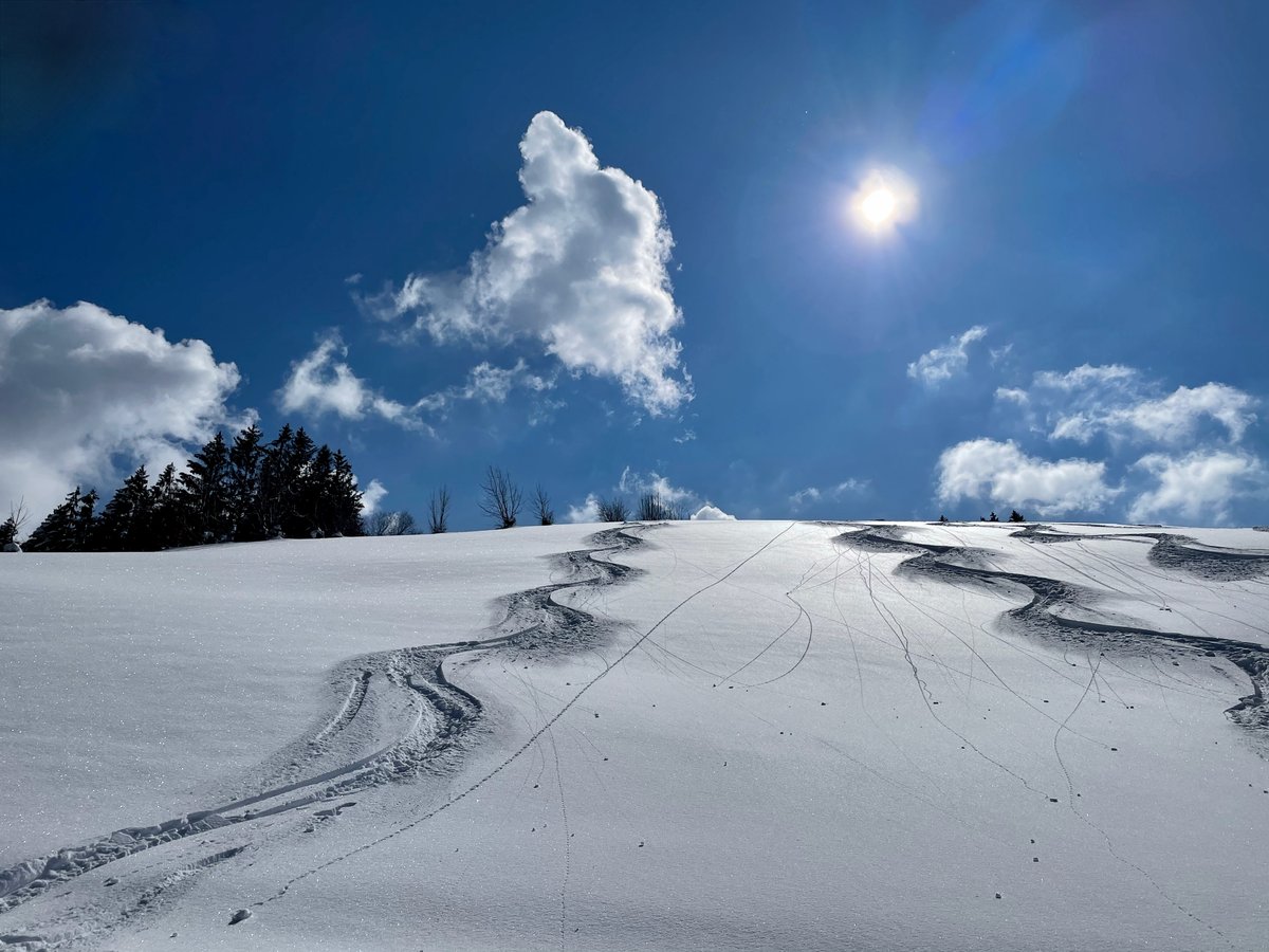 buddli's tweet photo. Das Paradies: Wenn eine Stunde Mittagspause ausreicht, um die Felle auf die Skier zu schnallen, den Berg hinaufzueilen und neue Spuren in den unberührten Schnee zu legen.
#MySwitzerland #DestinationBlue #einsiedeln #lunchbreak https://t.co/f4O2w4Mb8J