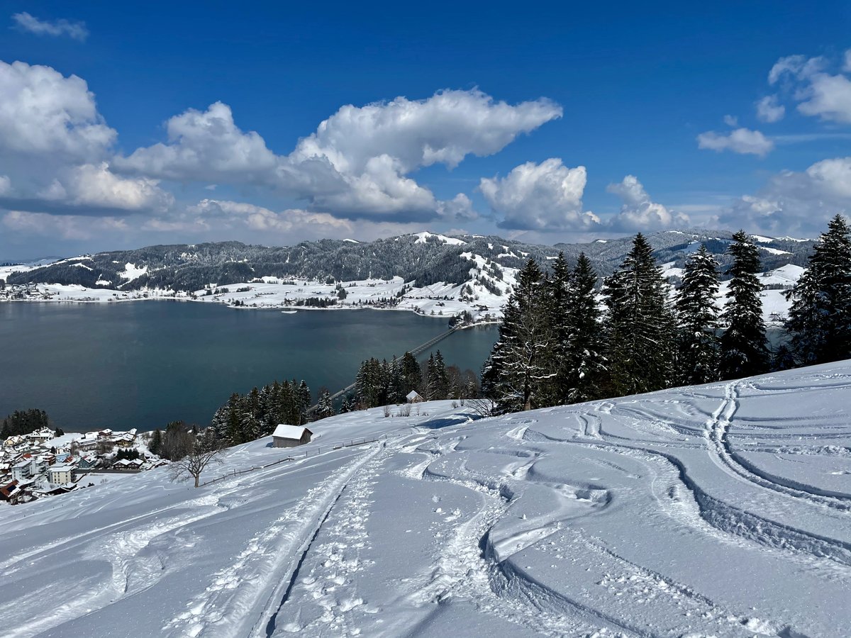 buddli's tweet photo. Das Paradies: Wenn eine Stunde Mittagspause ausreicht, um die Felle auf die Skier zu schnallen, den Berg hinaufzueilen und neue Spuren in den unberührten Schnee zu legen.
#MySwitzerland #DestinationBlue #einsiedeln #lunchbreak https://t.co/f4O2w4Mb8J