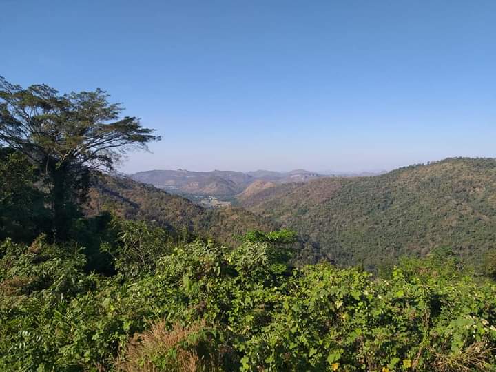 adhikari_para's tweet photo. @harsha_actor I love to go jungle and i love natural beauty.❤ https://t.co/yO7VxBYGcQ