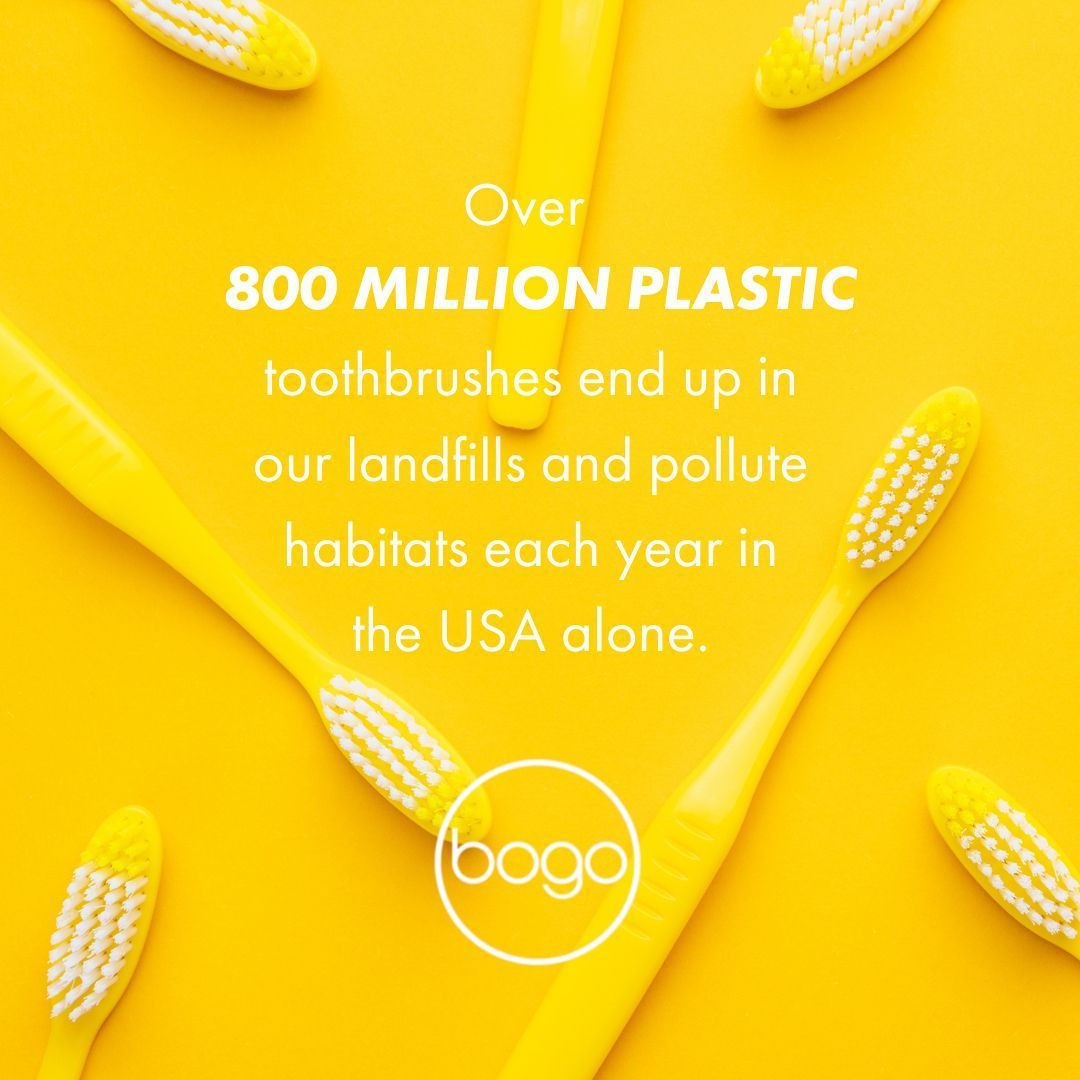 Bogobrush tweet media