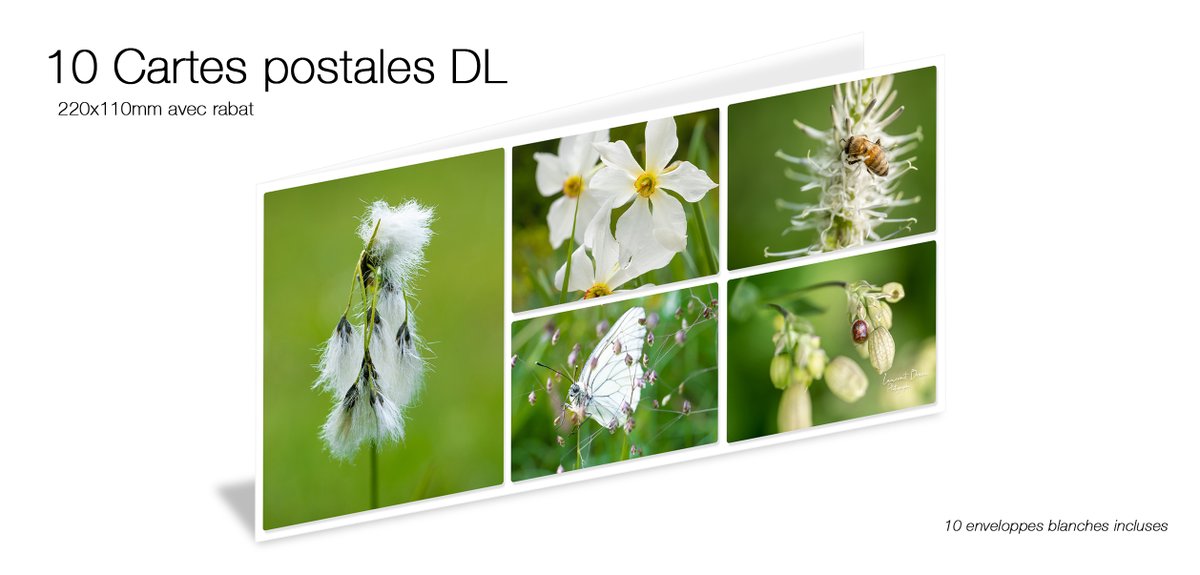BEtrained's tweet photo. [nouveau] Achetez en ligne des assortiments de cartes postales  (DL + rabat par 10) avec mes plus belles photos. Livraison gratuite. 10%  code: plusde50 (>50€)
https://t.co/y0N1fFYneb
#carte #cartepostale #ain #aintourisme #rhonealpes #rhonealpestourisme  #bugey #HautBugey https://t.co/2Dkm5IRS4C