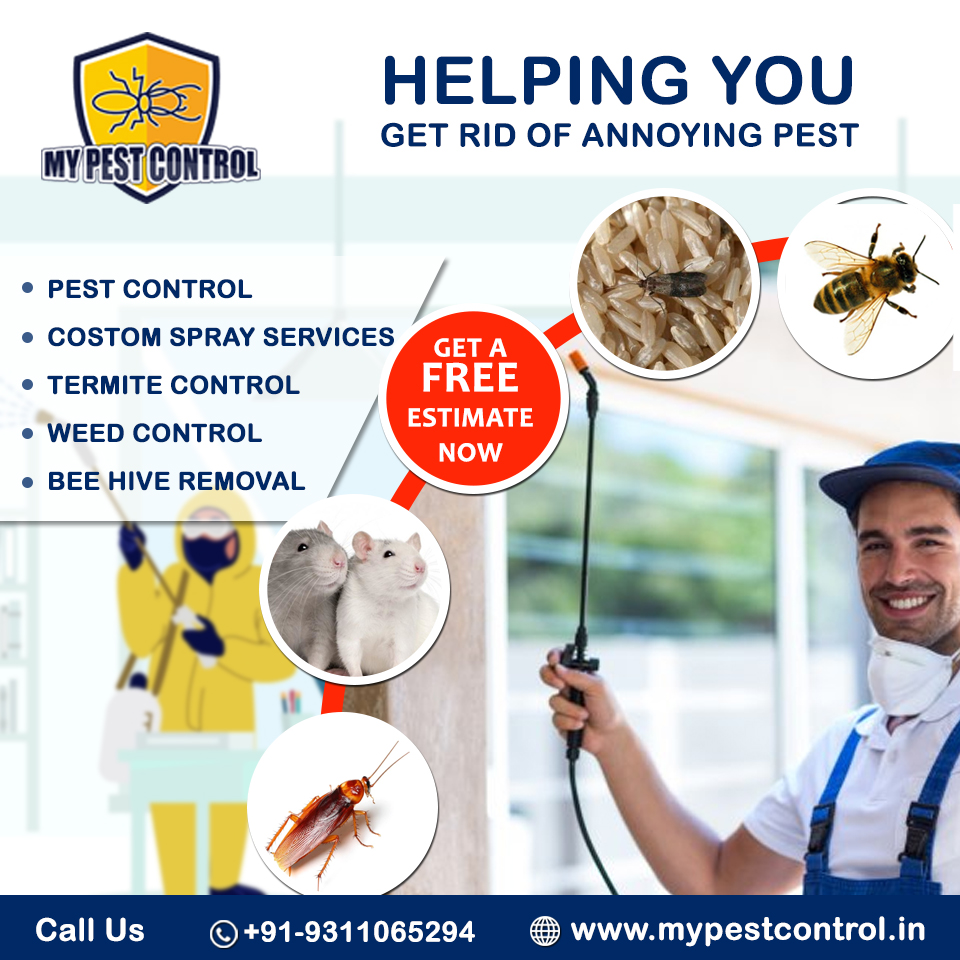 mypestcontrolup's tweet image. Best in class All types of #pest_control_solutions in Delhi NCR. ISO:9001 Certified company. We provide 100% quality, effective, and trustworthy services at affordable prices.

Call at +91-9311065294 or visit mypestcontrol.in

#pestcontrolservicedelhi #domesticpestcontrol