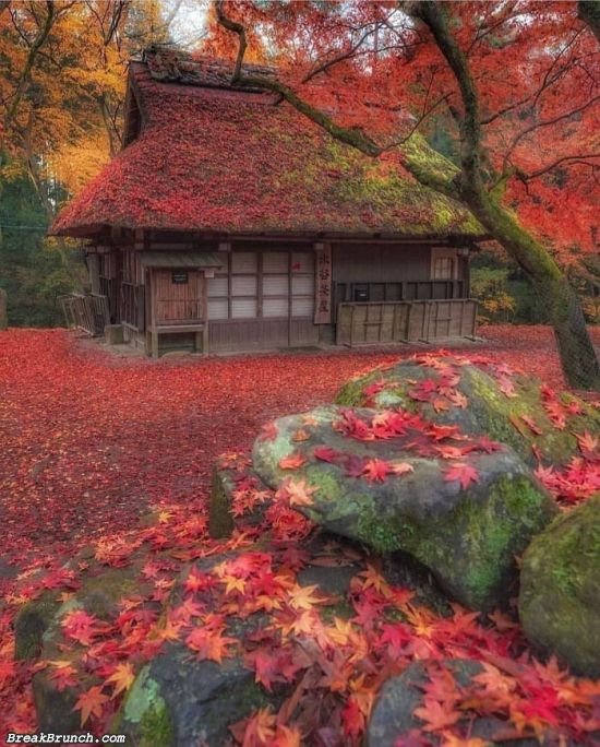 BreakBrunch's tweet photo. A beautiful house - https://t.co/Wxl4Xv9aI0 https://t.co/bZJpiaQhTR