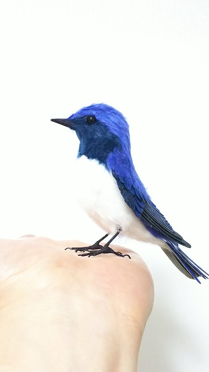 Twoucan 青い鳥 の注目ツイート イラスト マンガ コスプレ モデル