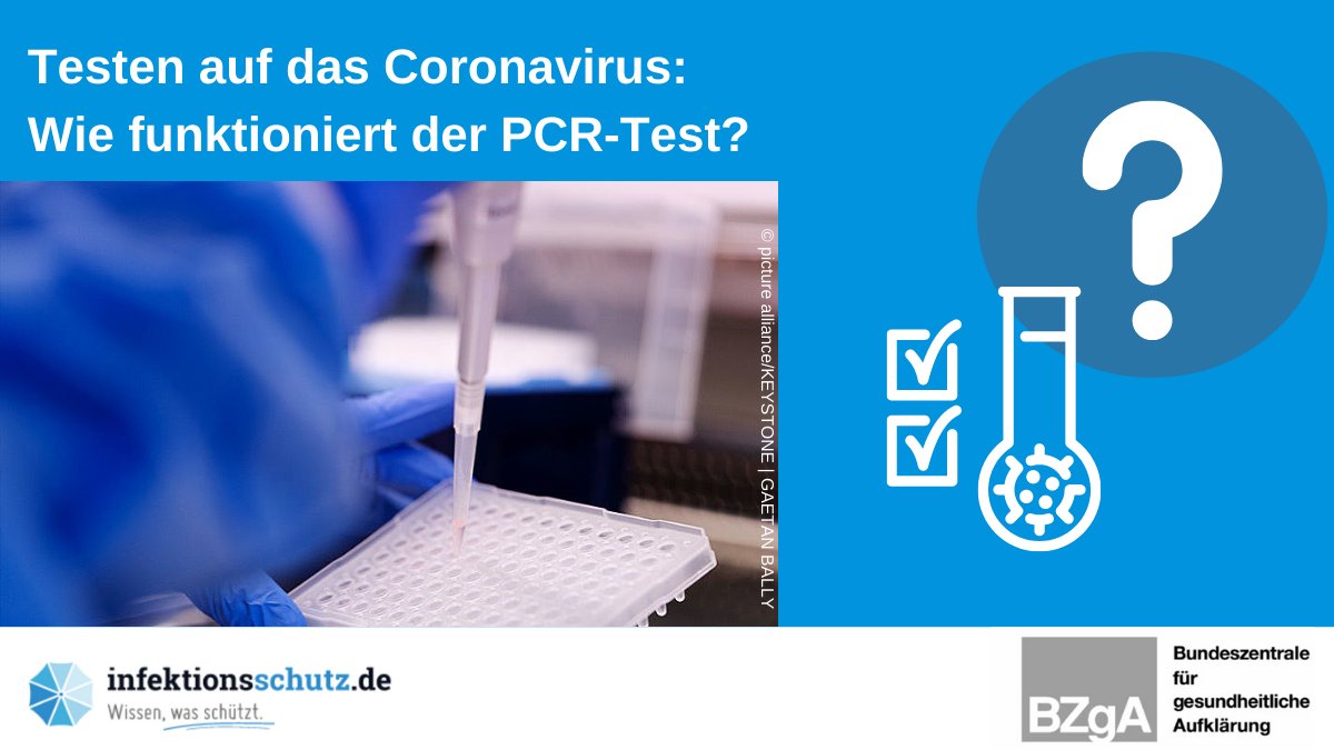 Der #PCRTest gilt als das zuverlässigste Verfahren, um einen Verdacht auf eine Infektion mit dem #Coronavirus abzuklären. Die #BZgA erklärt, wie der #PCR-Test funktioniert &amp; was ihn von #Schnelltests unterscheidet: infektionsschutz.de/coronavirus/te…