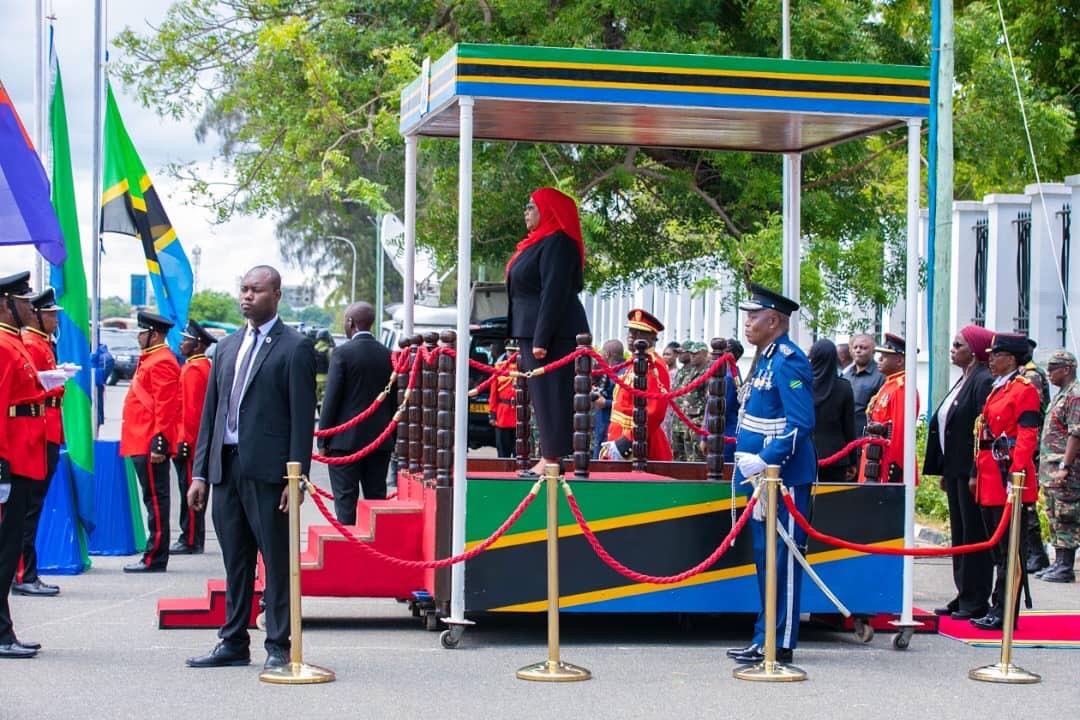 Ladies and gentlemen, behold the new President of Tanzania, and Africa's only current female national leader, Samia Suluhu.