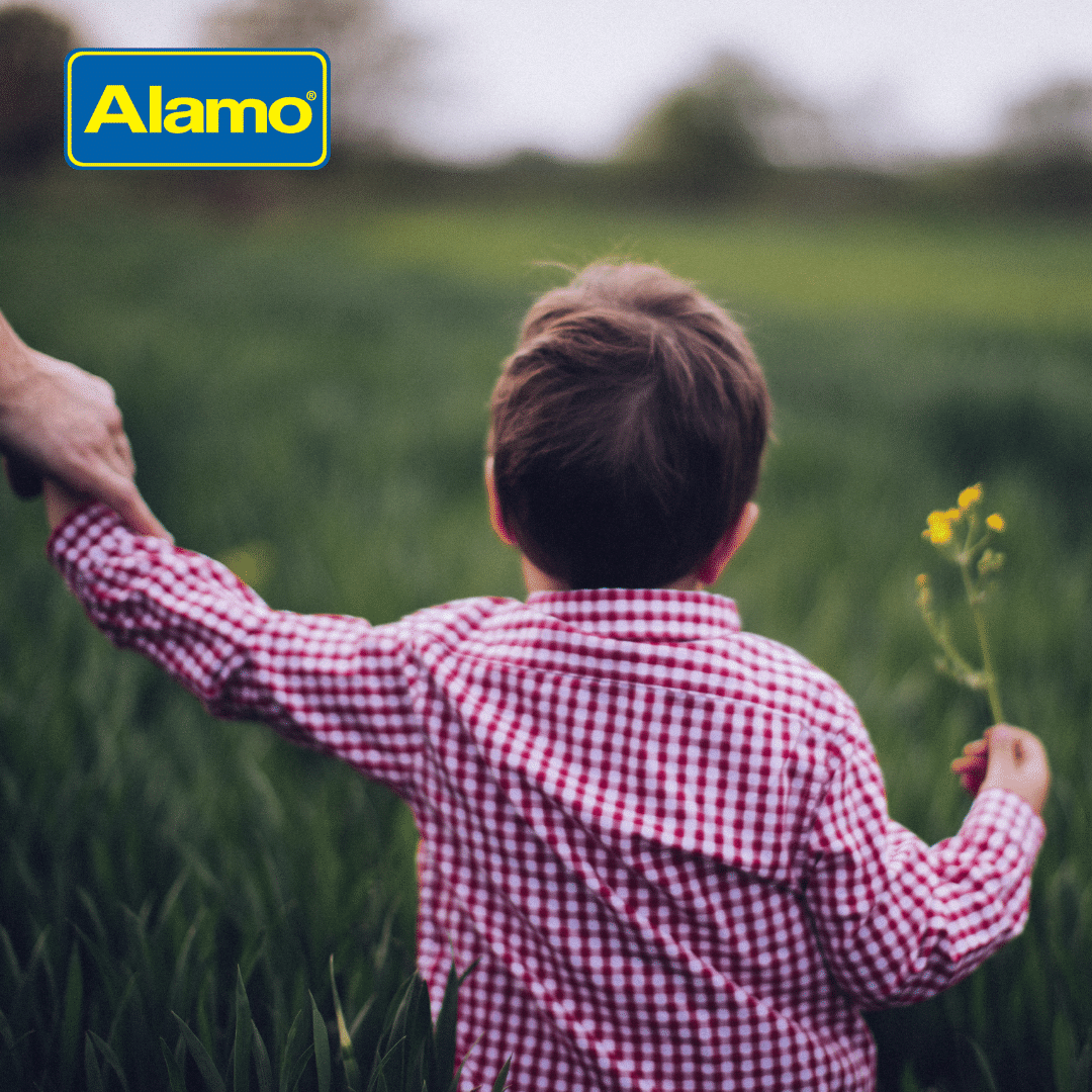 AlamoLAC's tweet photo. La primavera está a la vuelta de la esquina. ¿Haz planeado alguna escapada especial para ver las flores florecer? https://t.co/7a0iS93y1y