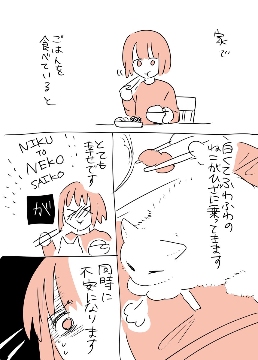 ねこを飼う上での悩みを描きました 