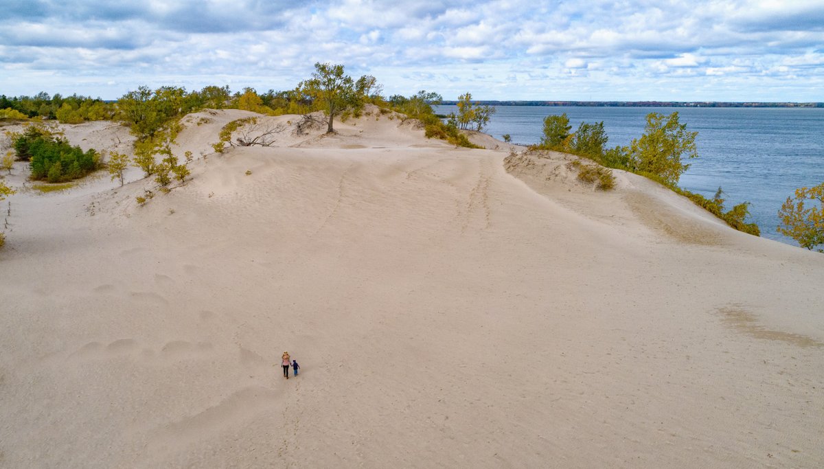 OntarioParks's tweet photo. We all know Ontario’s provincial parks aim to protect our natural landscapes and species.
But did you know that each individual park is protected for its own (often very specific) reasons? https://t.co/r7Gwulgpgz
#ForeverProtected https://t.co/MNoDs0B7GG