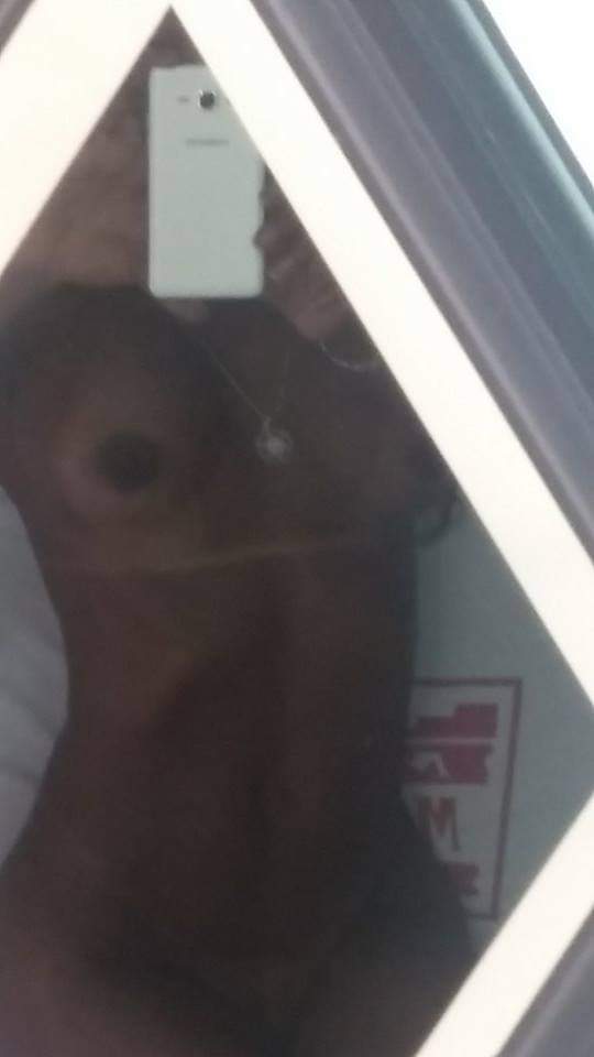 MultataG's tweet photo. #shemaletube #ShemaleBlack #shemale #travestislindas #Salvador #trans https://t.co/FTvtTYv5Ft