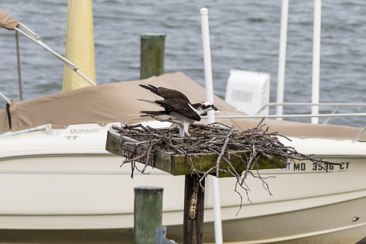 Amanda Reilly tweet media