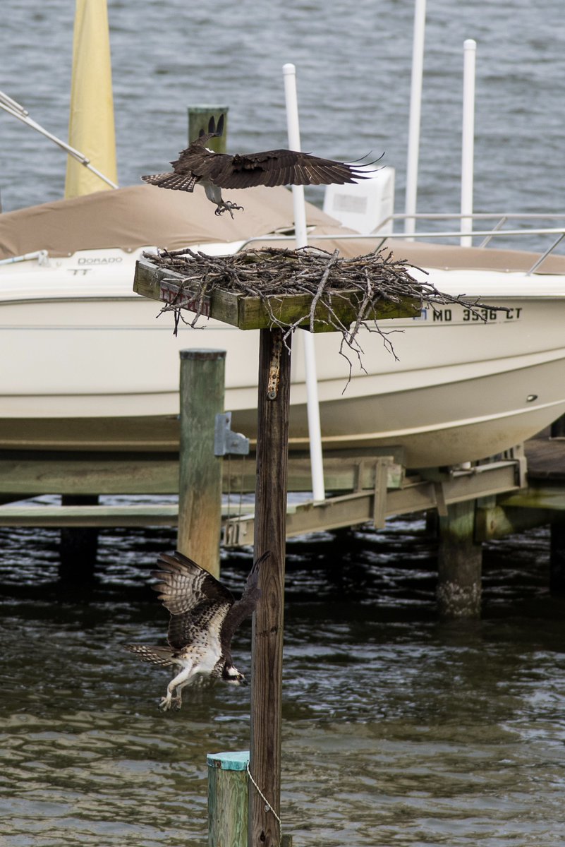 Amanda Reilly tweet media