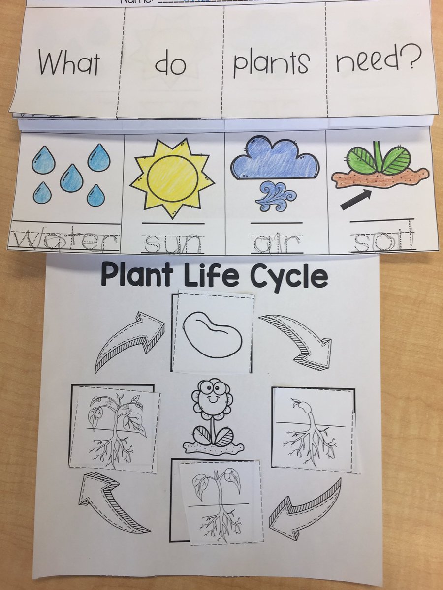 This week we learned about the plant life cycle and we planted our own seeds! Can’t wait to watch them grow! 🌱🌷
<a href="/gecdsb/">GECDSB</a> <a href="/ForestGladePS/">Forest Glade Gators</a>
