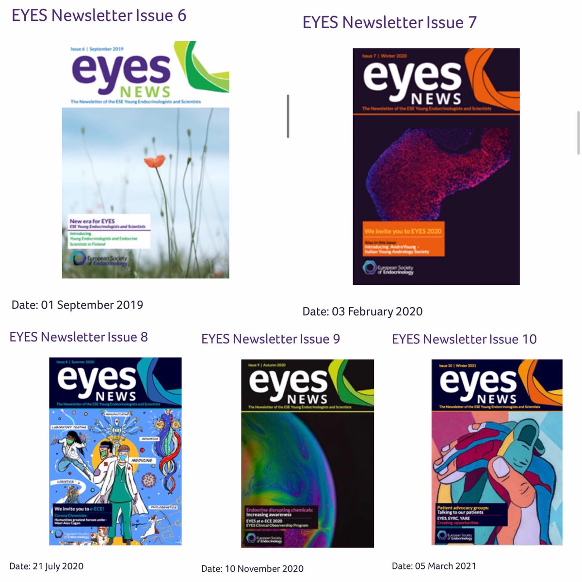 LjiljanaMarina's tweet photo. Sad to say goodbye to the Editorial board of the #EyesNewsletter. Founding it with @DrAyseZ and watching it grow over the years brought great joy and reward. I am very proud of what we have achieved and happy to pass the torch to new Editor @santoans and Copy-Editor @waltervena4 https://t.co/qR2EjKK9q6