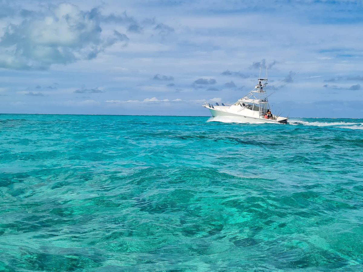 gsfishing's tweet photo. Happy Friday ! What are your plans for the weekend? Hope your plans include #fishing #deepseafishing #familytime #exploretci @TCITourism @RealSaltLife https://t.co/6XCsvz11um