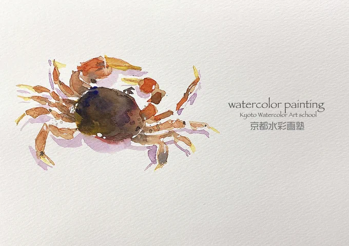 イラストでもない絵手紙でもない水彩画。明日の授業は水彩画的思考でサワガニを描きます。#Watercolor #スケッチ #水彩画 #淡彩略画 #動物画 #風景画 #透明水彩 #京都水彩画塾  #水彩画ワークショップ  #水彩画教室  #京都の絵画教室 