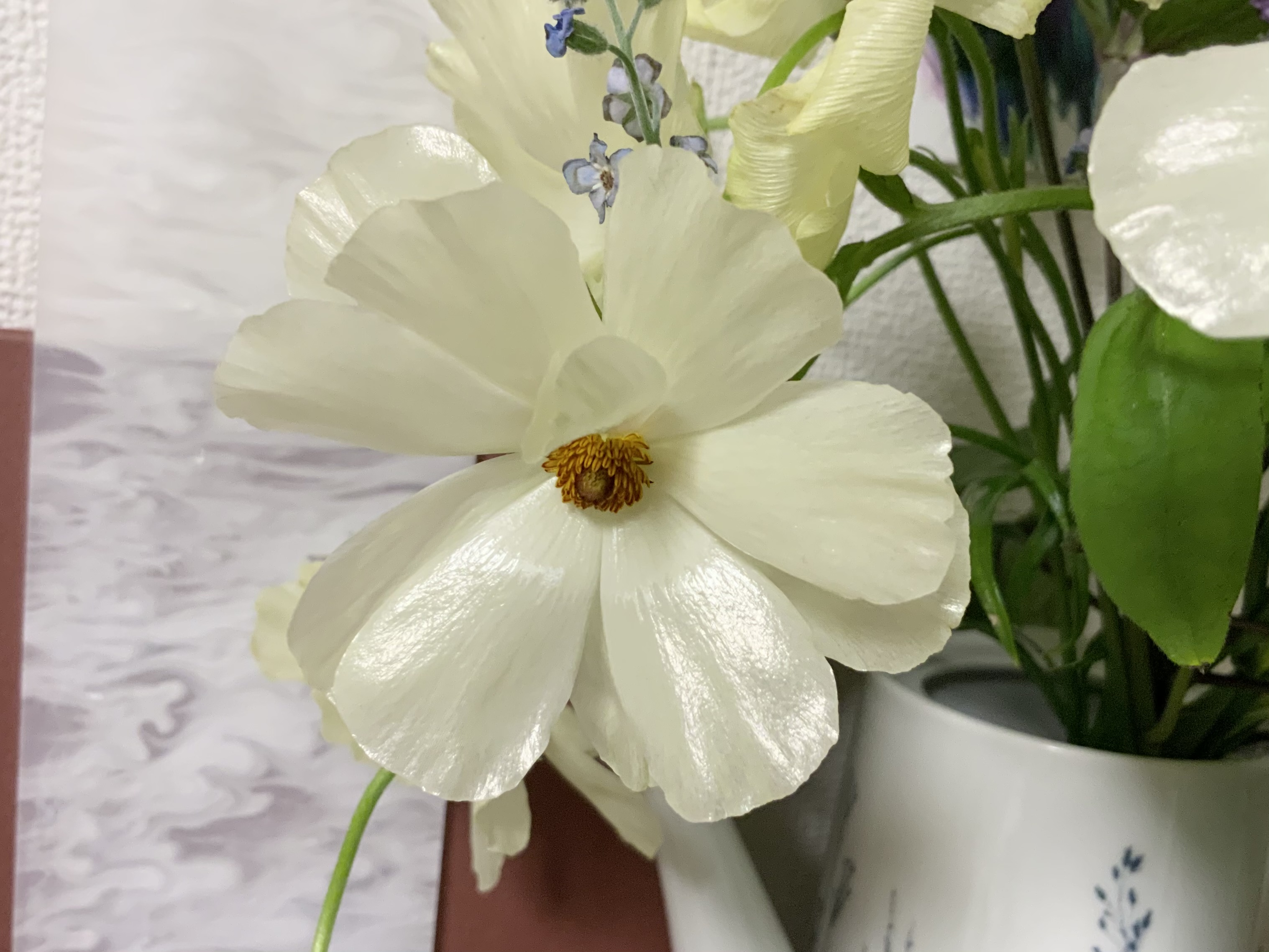 長田杏奈 Ootsumoeno 買うとき少し値が張るけど 花期が長くて花もちがよく小さなつぼみ ももれなく咲き 球根で毎年繰り返し咲くし増えるので コスパ最高で 切り花としても長く楽しめる素晴らしい品種なのです Twitter