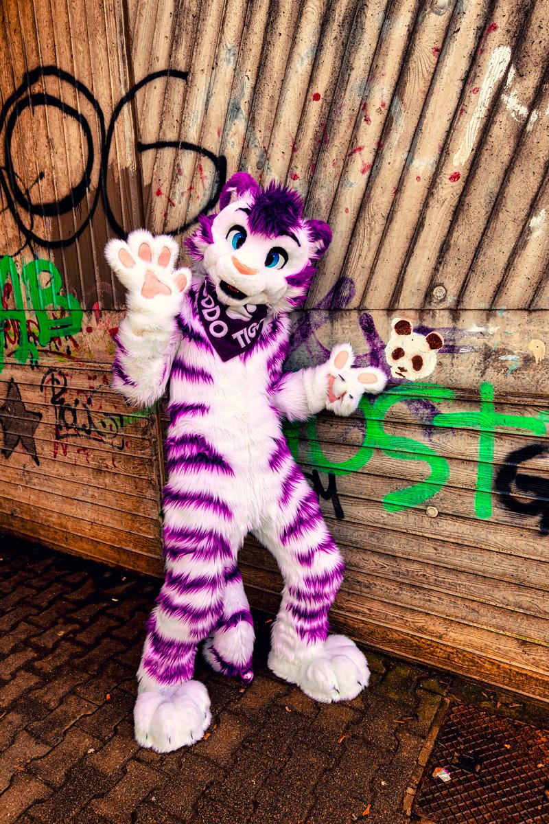 TyggyTyger's tweet photo. Look! A little cute Panda! 😁
#FursuitFriday 
📷🖌 @DanteImaginary https://t.co/1N7o2IYqHn