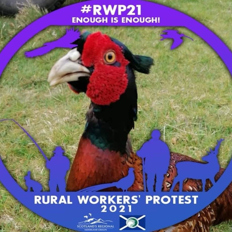 Good to see some of the msp's supporting #RWP21 thank you. Help us make our rural voices heard