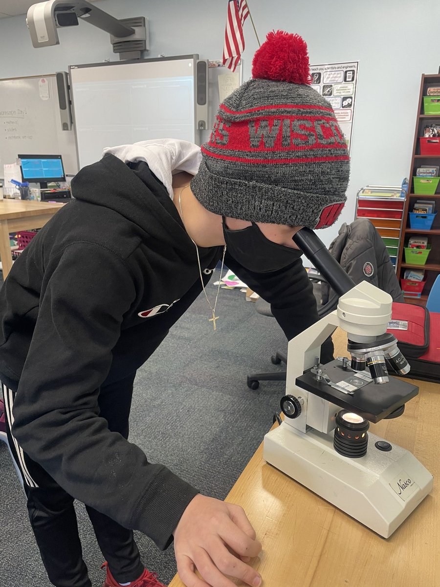 Becky_Pizzo's tweet photo. Exploring cells with microscopes! #mertonint #mertonproud https://t.co/QdI12dSk8h