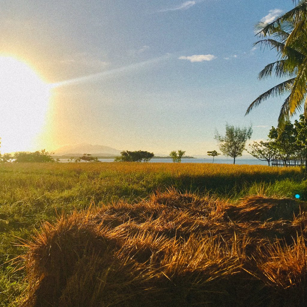 mark_mchate's tweet photo. Year-round summer feels in the tropics 😍❤️ #beachlife https://t.co/CKSkw3US8S