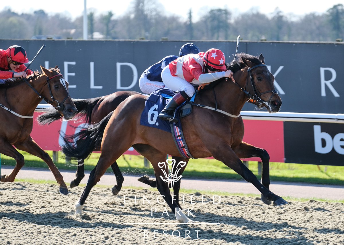 LingfieldPark's tweet photo. RACE 2 RESULT – Get Your @Ladbrokes Daily Odds Boost Handicap

🥇 Power On
🥈 Emjaytwentythree
🥉 Night Of Romance

Jockey: @Laurapearson_

Trainer: John Butler

Owners: Rowley Racing &amp; Partners

📸: @Meganrosephoto https://t.co/76vDWnYI9h
