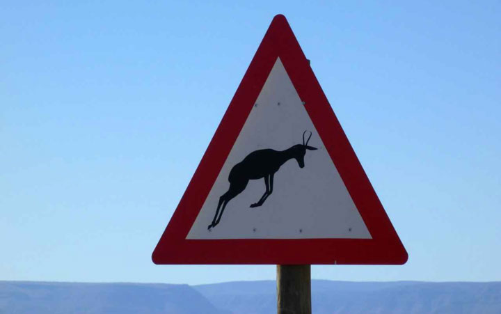 The #COVID19 pandemic &amp; its link to the #ClimateCrisis underlines the necessity to embrace a multispecies approach, also to #AfricanStudies. What does this mean in terms of its curriculum and teaching? Harry Wels in the ASCL Africanist Blog 👇🏾 ascleiden.nl/content/ascl-b…