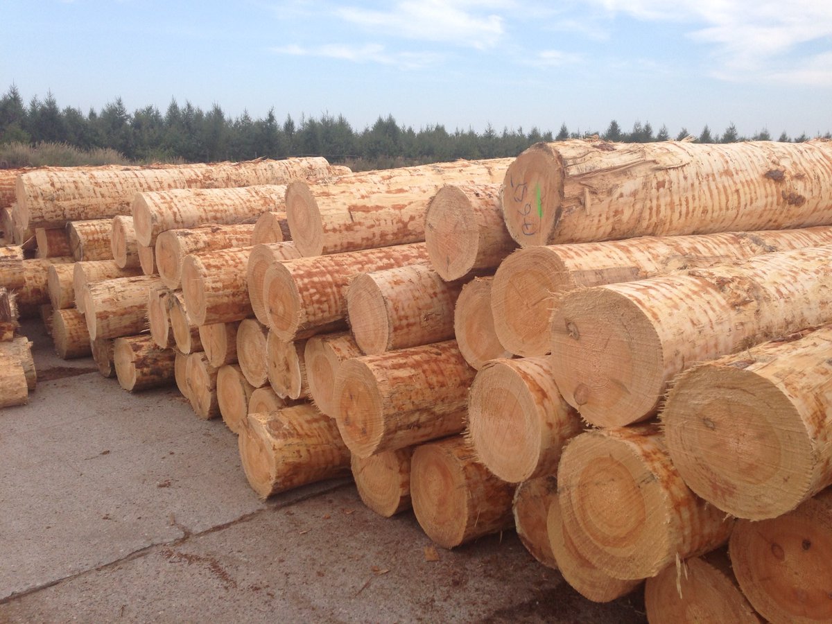 Think Timber UK tweet media