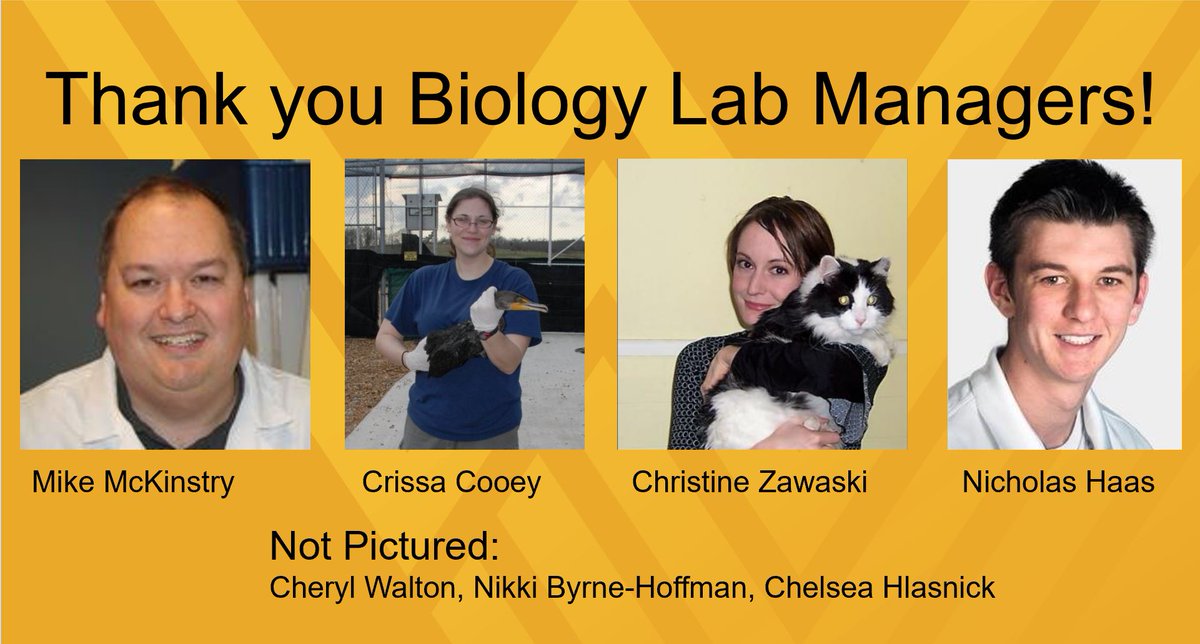 WVU Biology tweet media