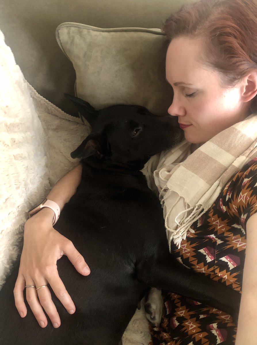 CleaMahoney's tweet photo. I mean...that face #OLCpets https://t.co/nTgktx0Ez7