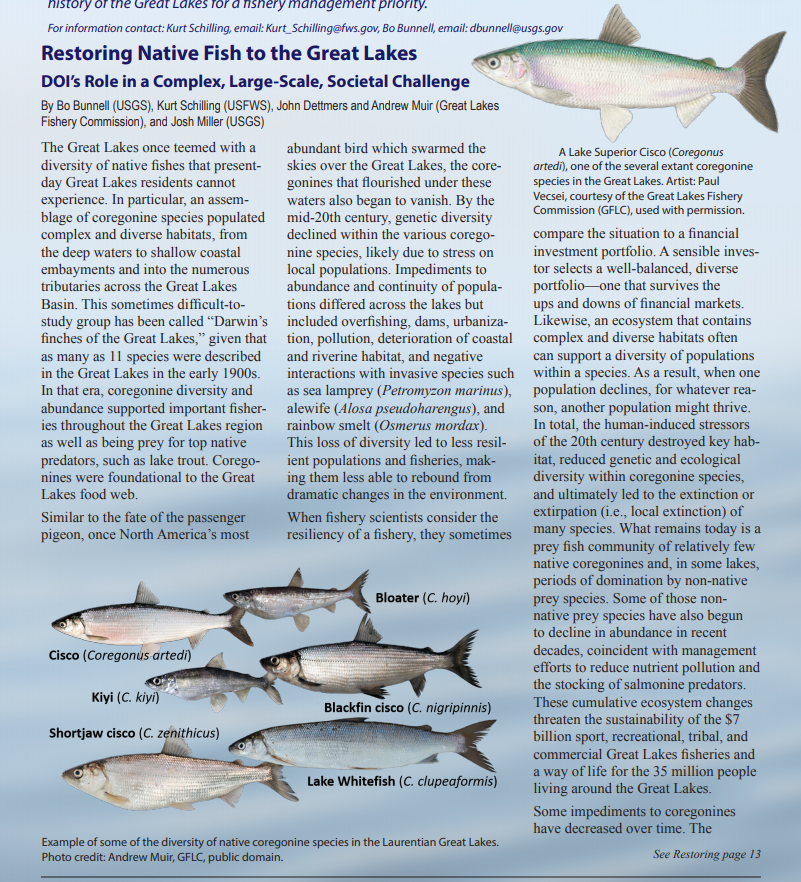 HannahMLachance's tweet photo. ✨Very Exciting✨highlight of #Cisco work in the Great Lakes!
Be sure to check it out! #ciscoscience #coregonines #restoration #nativespecies
(starting p. 12) https://t.co/e1CUxB7ALL https://t.co/msJkfuq9ye