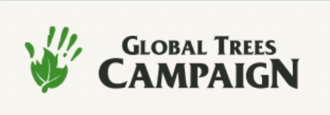 GTA_GTSG's tweet photo. Happy #IntlForestDay! Protecting forests also means saving individual tree species something @globaltrees campaign is great at. Check out some of their restoration programmes for trees and forests here -https://t.co/bT7ScLCiBh https://t.co/8cfDGtgGWR