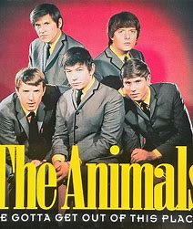 Зе энималс. Группа the animals. Animals we gotta get out of this place. The animals группа плакат. The animals сейчас.