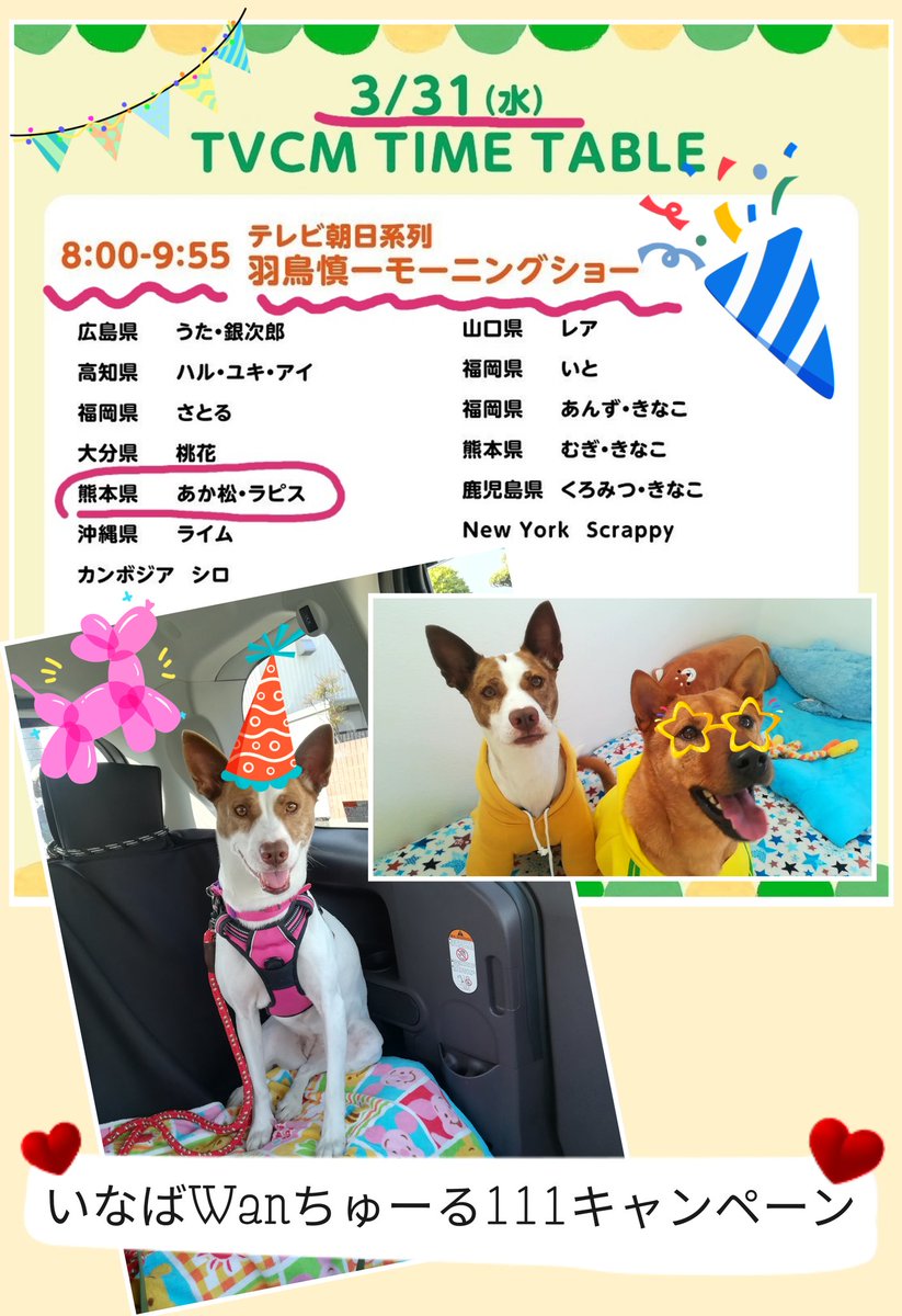 八代保健所