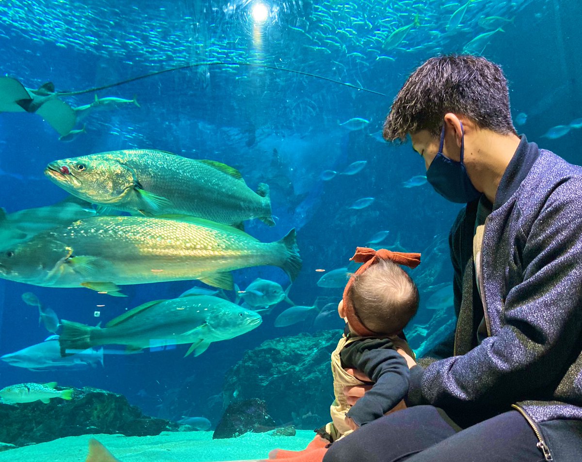 Lishe113's tweet photo. 水族館でびゅー🐟
ぱぱぱ誕生日おめでとう
クソガキ23歳のくせにこんなに
立派に父&amp;旦那やってくれて
喜びと感謝の意を表する https://t.co/CtGnAJfpNV
