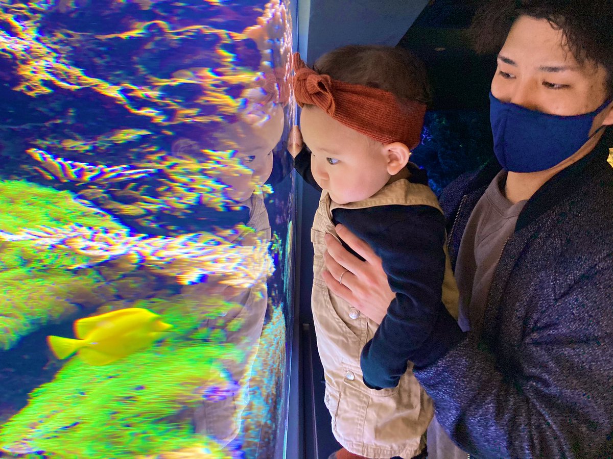 Lishe113's tweet photo. 水族館でびゅー🐟
ぱぱぱ誕生日おめでとう
クソガキ23歳のくせにこんなに
立派に父&amp;旦那やってくれて
喜びと感謝の意を表する https://t.co/CtGnAJfpNV