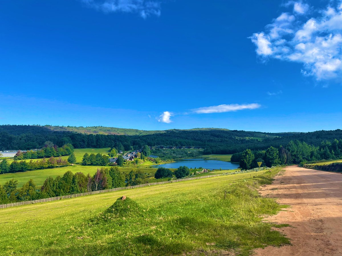 Lozwi Chief 🤴 tweet media