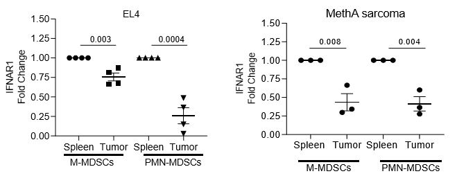 Nature Communications (@naturecomms) on Twitter photo IFNAR1-mediated type I IFN signaling restricts the acquisition of immune-suppressive activity by myeloid derived suppressor cells.
nature.com/articles/s4146…
#CancerResearch <a href="/KAlicea_PhD/">Kevin Alicea-Torres</a> IFNAR1-mediated type I IFN signaling restricts the acquisition of immune-suppressive activity by myeloid derived suppressor cells.
nature.com/articles/s4146…
#CancerResearch <a href="/KAlicea_PhD/">Kevin Alicea-Torres</a>